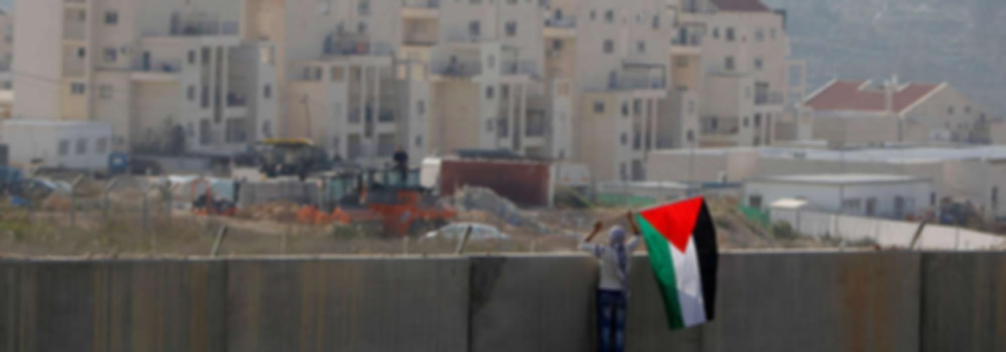 Een vrouw kijkt over een Israelische muur naar een nederzetting, met de Palestijnse vlag in de hand.