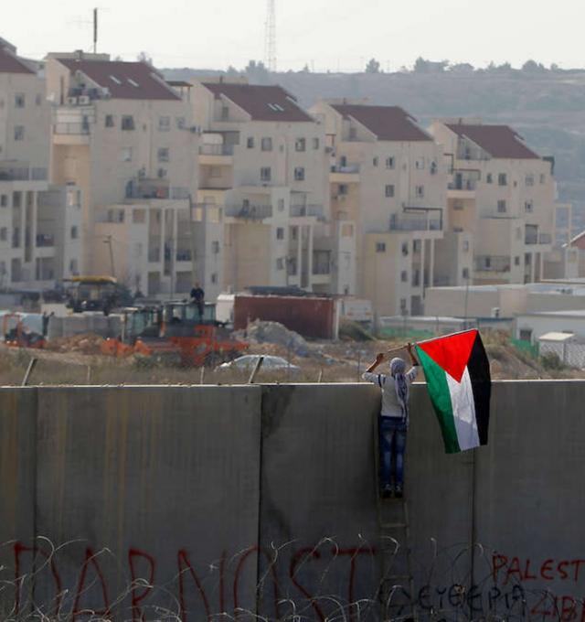 Een vrouw kijkt over een Israelische muur naar een nederzetting, met de Palestijnse vlag in de hand.