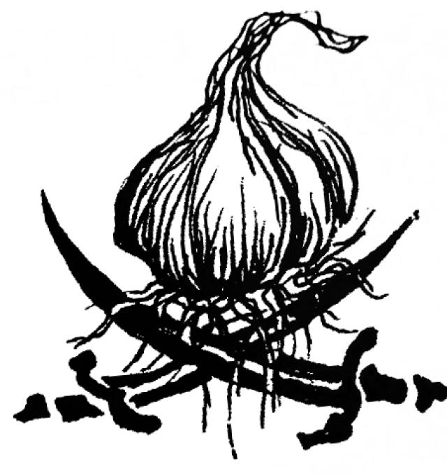 logo kokkerellen
